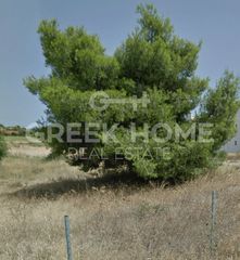 Land plot 820 sqm for sale
