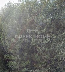 Land plot 252 sqm for sale
