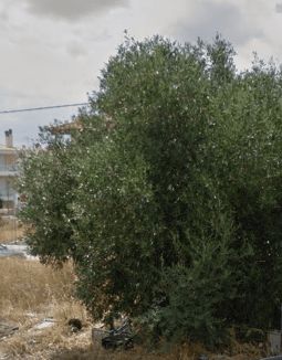 Land plot 220 sqm for sale, Athens - North, Chalandri