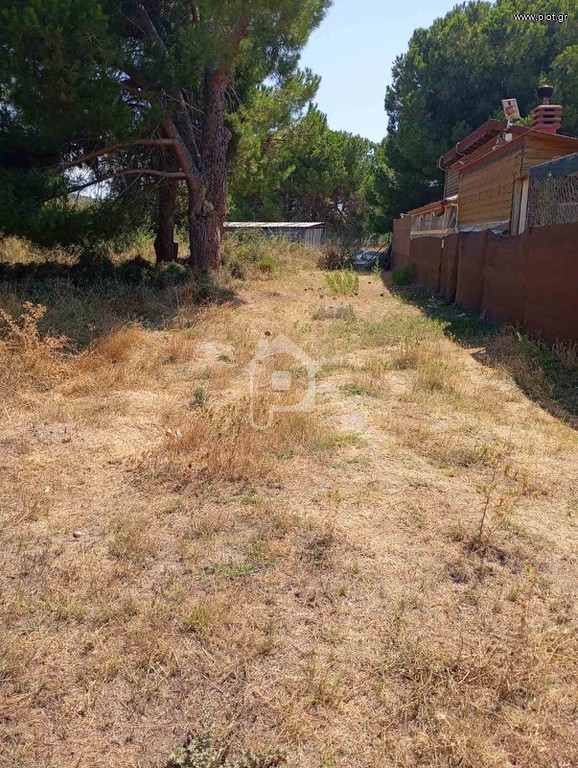Αγροτεμάχια 530 τ.μ. προς πώληση, Όρμος Παναγίας