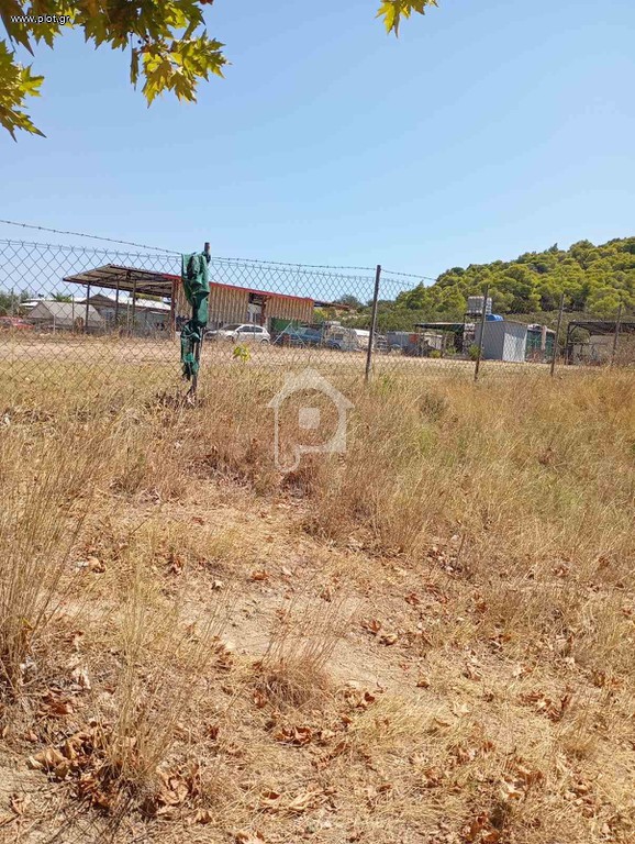 Αγροτεμάχια 1.300 τ.μ. προς πώληση, Όρμος Παναγίας