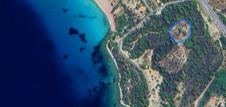 Αγροτεμάχια 5.500 τ.μ. για πώληση