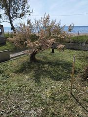 Οικόπεδο 563 τ.μ. για πώληση
