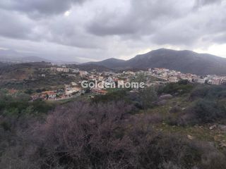 Οικόπεδο 11.500 τ.μ. για πώληση