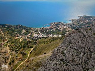 Οικόπεδο 24.500 τ.μ. για πώληση