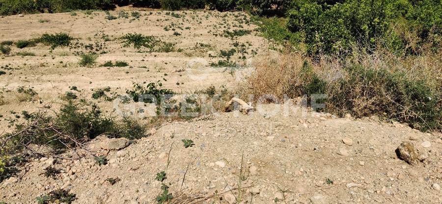 Οικόπεδο 1.130 τ.μ. πρός πώληση, Κορινθία, Ευρωστίνη