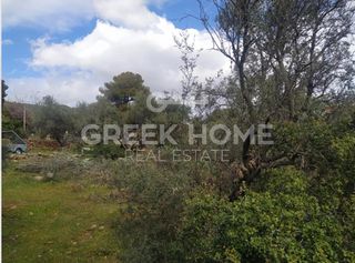 Land plot 1.004 sqm for sale