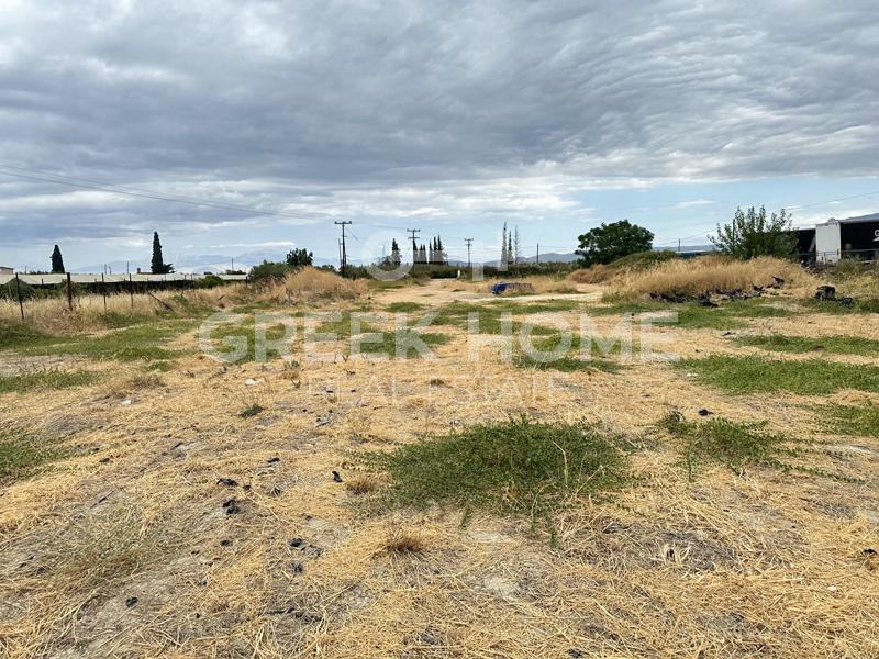 Οικόπεδο 4.557 τ.μ. προς πώληση, Καμινιτζαίικα
