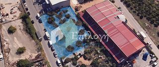 Οικόπεδο 1.500 τ.μ. για ενοικίαση, Αχαΐα, Πάτρα-thumb-2