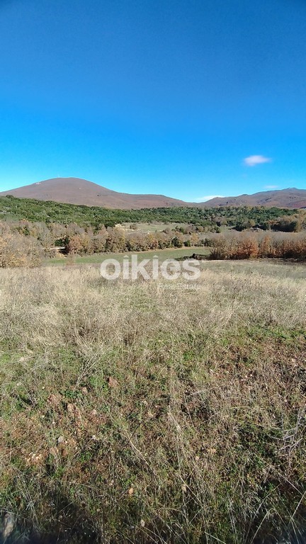 Οικόπεδο 5.377 τ.μ. προς πώληση, Άγιος Πρόδρομος