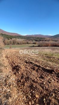 Οικόπεδο 5.377 τ.μ. προς πώληση