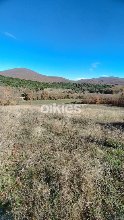 Οικόπεδο 5.377 τ.μ. προς πώληση, Άγιος Πρόδρομος