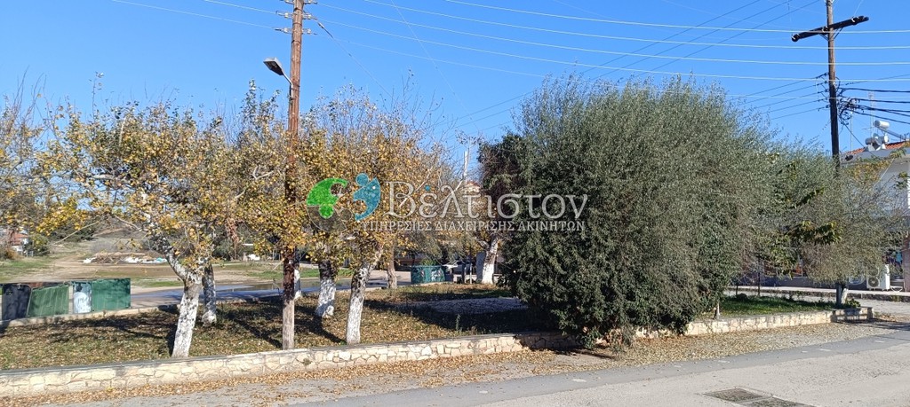 Αγροτεμάχια 470 τ.μ. πρός πώληση, Χαλκιδική, Μουδανιά