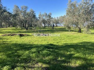 Οικόπεδο 6.350 τ.μ. για πώληση