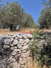 Οικόπεδο 4.684 τ.μ. προς πώληση, Άσπρο Βάμου-thumb-11