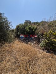 Οικόπεδο 4.684 τ.μ. προς πώληση, Άσπρο Βάμου-thumb-6