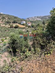 Οικόπεδο 4.684 τ.μ. προς πώληση, Άσπρο Βάμου-thumb-9