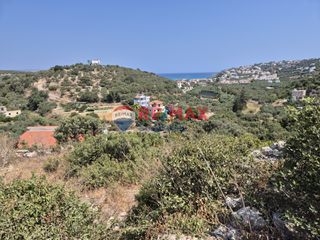 Οικόπεδο 4.684 τ.μ. προς πώληση, Άσπρο Βάμου-thumb-10