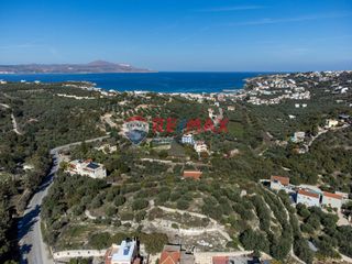 Οικόπεδο 4.684 τ.μ. προς πώληση, Άσπρο Βάμου-thumb-4