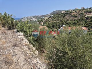 Οικόπεδο 4.684 τ.μ. προς πώληση, Άσπρο Βάμου-thumb-8