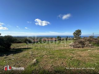 Οικόπεδο 2.261,47 τ.μ. προς πώληση, Κυπαρισσία Μεσσηνίας-thumb-10