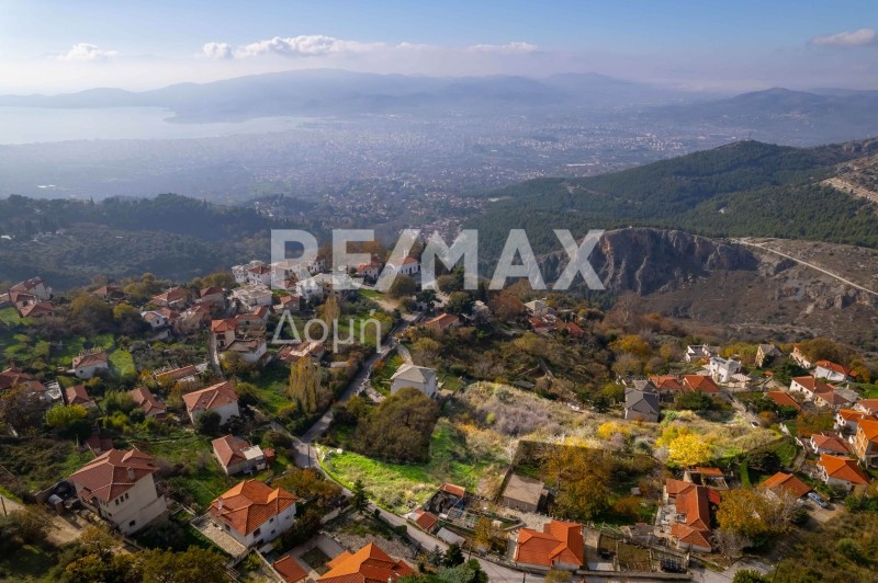Οικόπεδο 4.320 τ.μ. πρός πώληση, Μαγνησία, Πορταριά