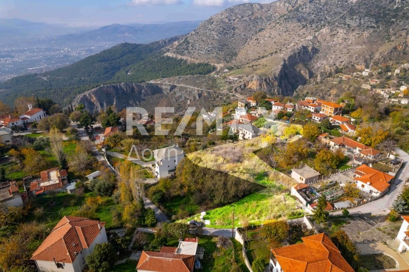 Οικόπεδο 4.320 τ.μ. πρός πώληση, Μαγνησία, Πορταριά