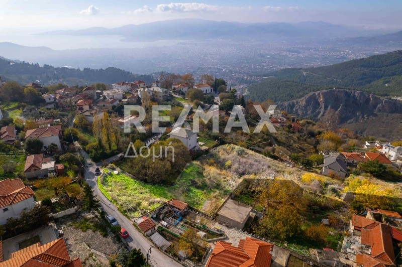 Οικόπεδο 4.320 τ.μ. πρός πώληση, Μαγνησία, Πορταριά