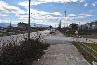Αγροτεμάχια 2.000 τ.μ. για πώληση, Ν. Ιωαννίνων, Ιωάννινα-thumb-22