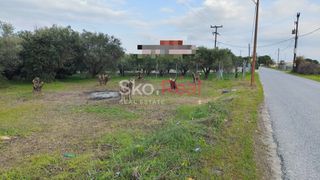 Αγροτεμάχια 4.128 τ.μ. για πώληση
