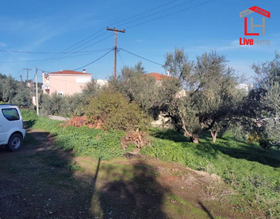 Οικόπεδο 502 τ.μ. πρός πώληση, Κορινθία, Ξυλόκαστρο