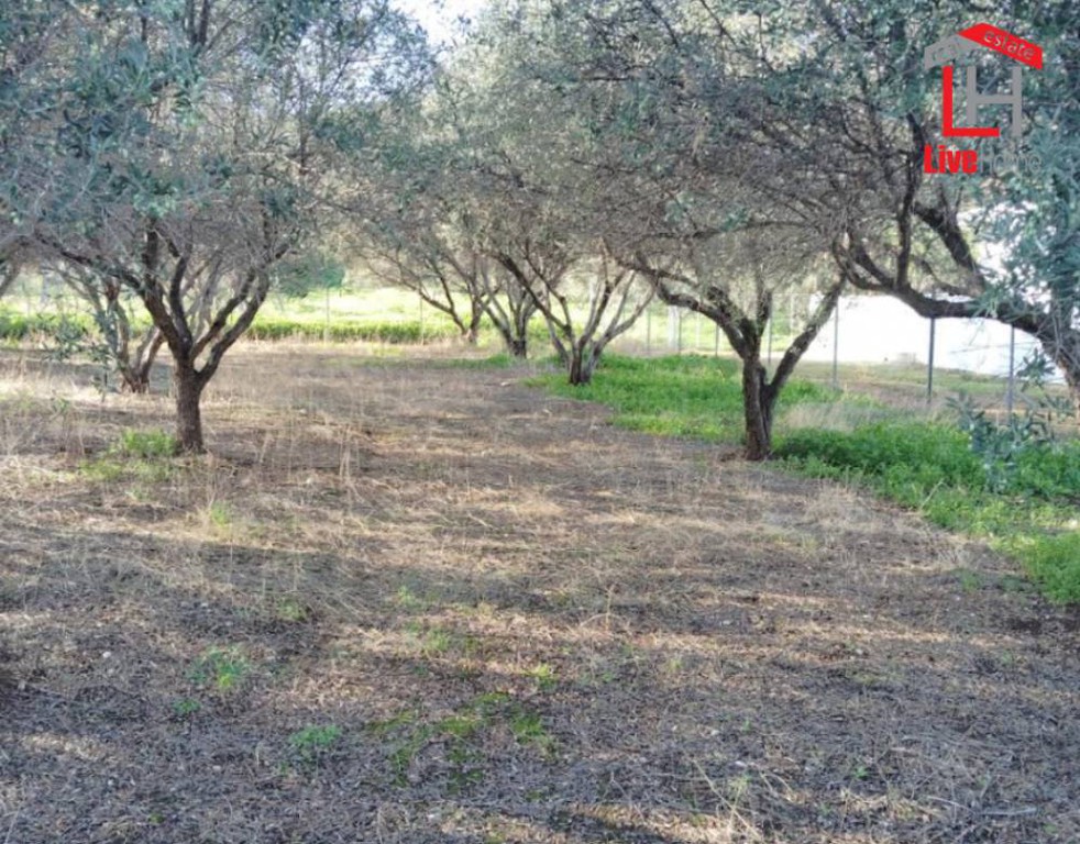 Οικόπεδο 502 τ.μ. πρός πώληση, Κορινθία, Ξυλόκαστρο