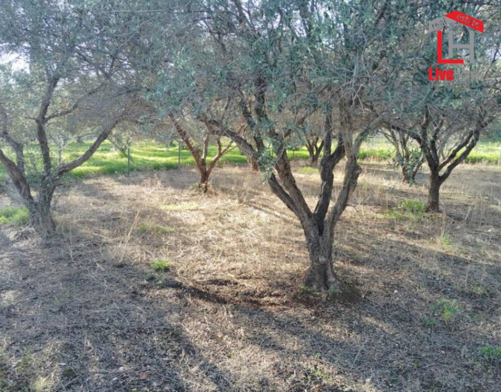 Οικόπεδο 502 τ.μ. πρός πώληση, Κορινθία, Ξυλόκαστρο