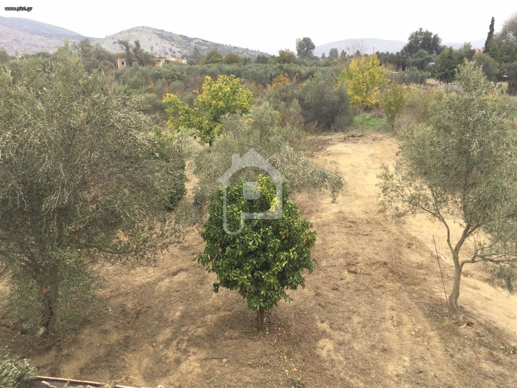 Μονοκατοικία 220 τ.μ. πρός πώληση, Εύβοια, Ληλάντιο