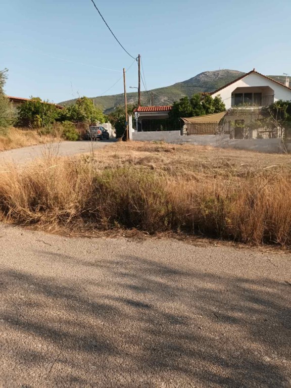 Αγροτεμάχια 719,28 τ.μ. πρός πώληση, Εύβοια, Ερέτρια