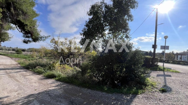 Οικόπεδο 2.912 τ.μ. πρός πώληση, Μαγνησία, Αλμυρός