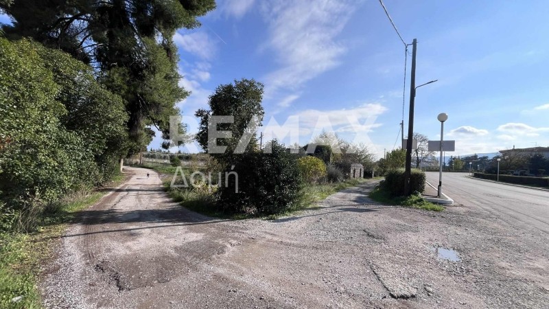 Οικόπεδο 2.912 τ.μ. πρός πώληση, Μαγνησία, Αλμυρός