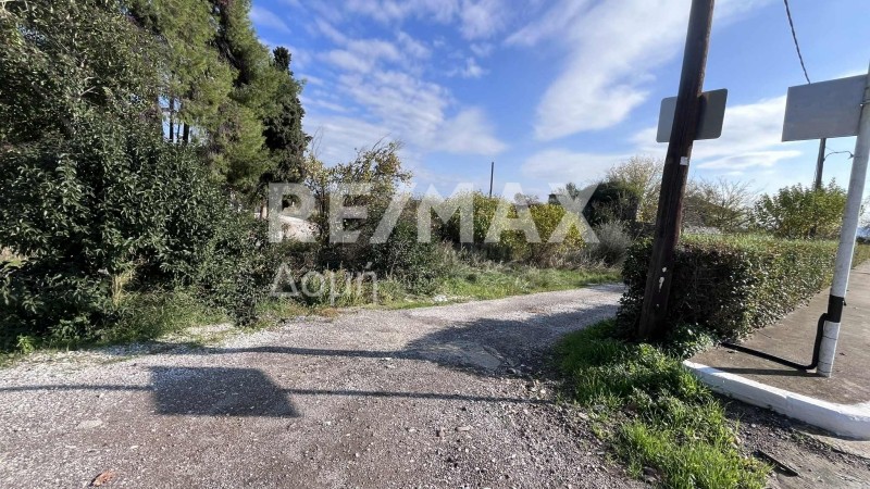 Οικόπεδο 2.912 τ.μ. πρός πώληση, Μαγνησία, Αλμυρός