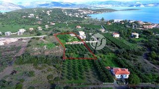 Οικόπεδο 4.604 τ.μ. για πώληση, Αργολίδα, Ερμιόνη-thumb-2