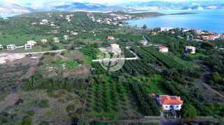 Οικόπεδο 4.604 τ.μ. για πώληση, Αργολίδα, Ερμιόνη-thumb-4