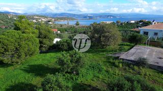 Οικόπεδο 4.604 τ.μ. για πώληση, Αργολίδα, Ερμιόνη-thumb-9