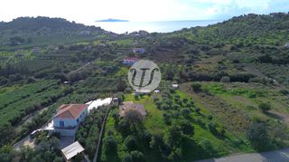 Οικόπεδο 4.604 τ.μ. για πώληση, Αργολίδα, Ερμιόνη-thumb-13