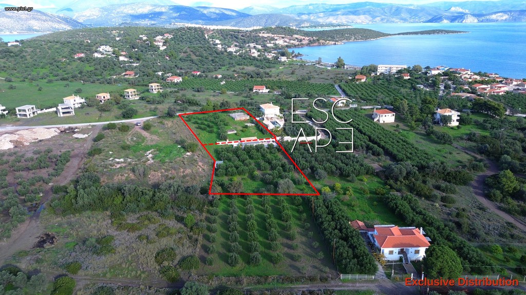 Οικόπεδο 4.604 τ.μ. για πώληση, Αργολίδα, Ερμιόνη