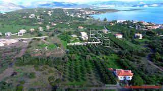 Οικόπεδο 4.604 τ.μ. για πώληση, Αργολίδα, Ερμιόνη-thumb-2