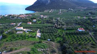 Οικόπεδο 4.604 τ.μ. για πώληση, Αργολίδα, Ερμιόνη-thumb-4