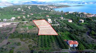 Οικόπεδο 4.604 τ.μ. για πώληση