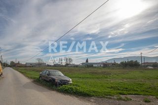 Αγροτεμάχια 6.529 τ.μ. προς ενοικίαση, Μαγνησία, Αισωνία-thumb-10