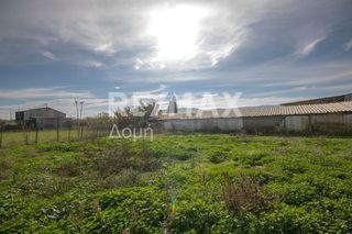 Αγροτεμάχια 6.529 τ.μ. προς ενοικίαση, Μαγνησία, Αισωνία-thumb-18