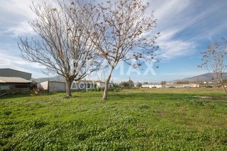 Αγροτεμάχια 6.529 τ.μ. προς ενοικίαση, Μαγνησία, Αισωνία-thumb-19