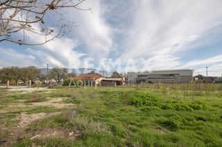 Αγροτεμάχια 6.529 τ.μ. προς ενοικίαση, Μαγνησία, Αισωνία-thumb-22